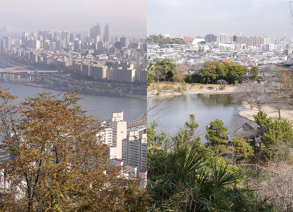 アーティストとひらく　鎌田友介展：ある想像力、ふたつの土地