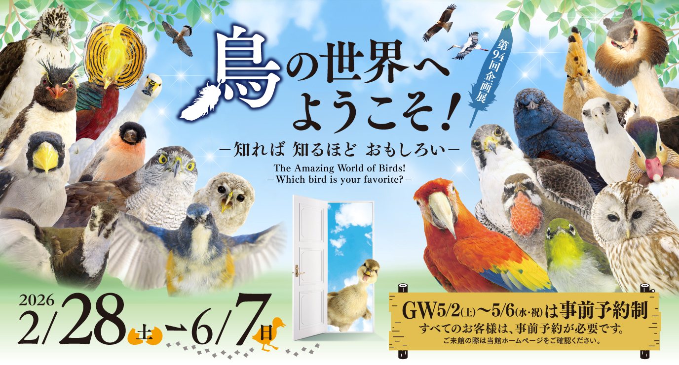 第94回展　鳥の世界へようこそ！－知れば 知るほど おもしろい－