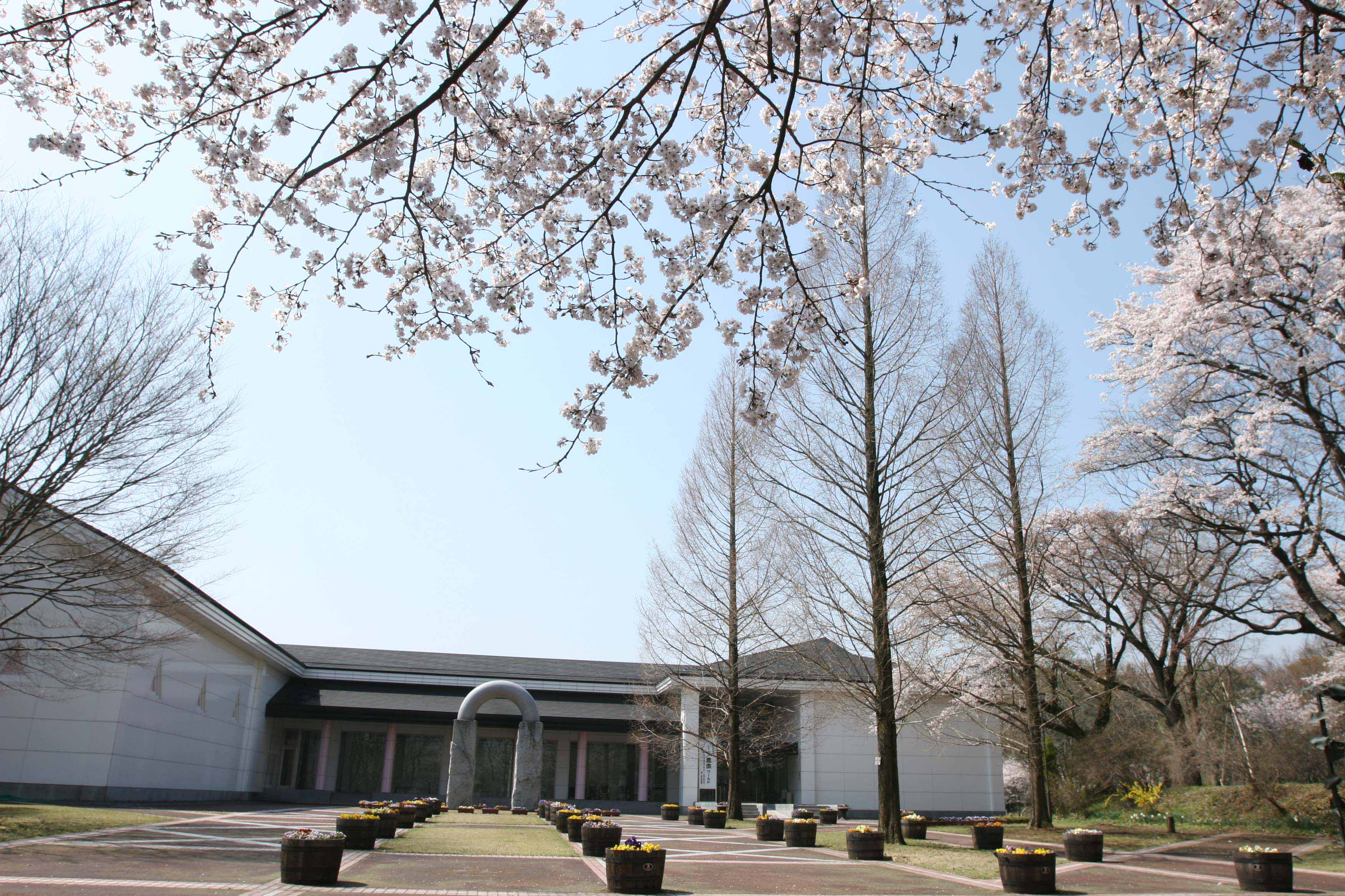 さくら市ミュージアム-荒井寛方記念館-
